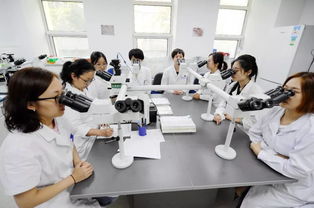 細致入微，見微知著——走進中國醫學科學院血液學研究所血液病理診斷中心